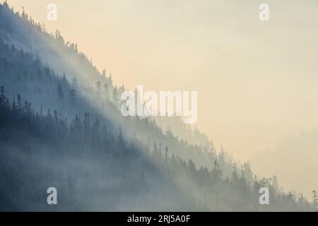 Rauch entsteht durch einen Waldbrand in British Columbia, Kanada Stockfoto
