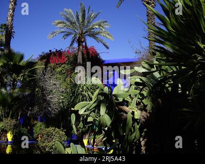 Garten Majorelle Marrakesch, Marokko Stockfoto