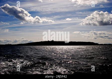 Isle of May, Fife, Schottland, Vereinigtes Königreich Stockfoto