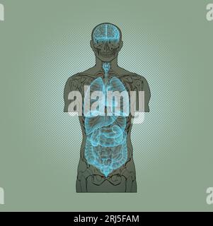 Illustration Series: Skelett mit menschlichen Organen. Abbildung 1 von 10 Stockfoto