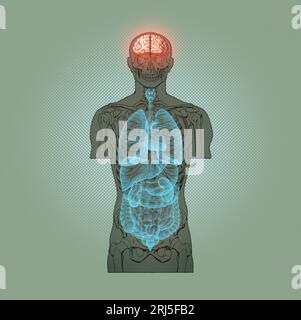 Illustration Series: Skelett mit menschlichen Organen. Abbildung 2 von 10 Stockfoto