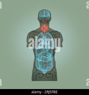 Illustration Series: Skelett mit menschlichen Organen. Abbildung 3 von 10 Stockfoto