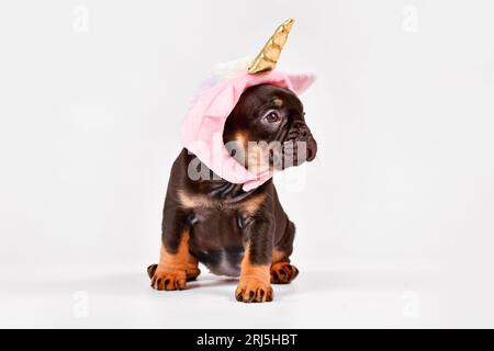 Brauner französischer Bulldog mit niedlichem pinkfarbenen Einhorn-Hut und goldenem Horn Stockfoto