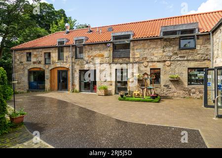 RSPB Loch Leven Nature Reserve, Perthshire & Kinross, Schottland Stockfoto