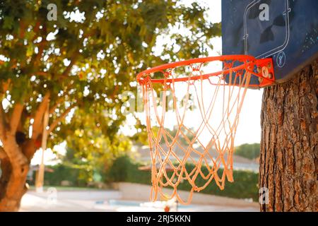 Ein leuchtend orangefarbener Basketballkorb, der draußen neben einem Baum steht Stockfoto