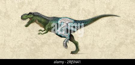 Running Tyrannosaurus Rex Cutaway Stockfoto