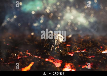 Elefant spaziert auf brennender Lava. Kreative Landschaft mit einer kleinen Miniatur. Naturkatastrophen, das Ergebnis der globalen Erwärmung. Stockfoto