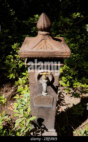 Ein Vintage-Wasserbrunnen aus Metall mit einem rustikalen Wasserhahn, umgeben von üppigem Grün. Stockfoto