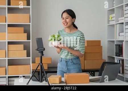 Schöne asiatische Frau lebt, die Baum online mit Smartphone verkauft, um den Kunden zu sehen, wie er Pflanze zu Hause kauft Stockfoto