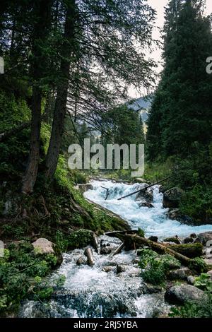 Gebirgsfluss in der Schlucht in Kasahstan Stockfoto