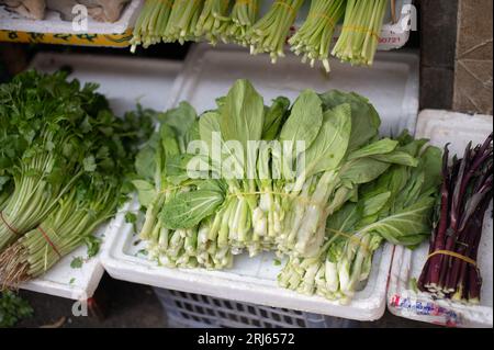 Mehrere Kisten mit einer Vielzahl von frischem Gemüse können auf einem lokalen Markt erworben werden Stockfoto