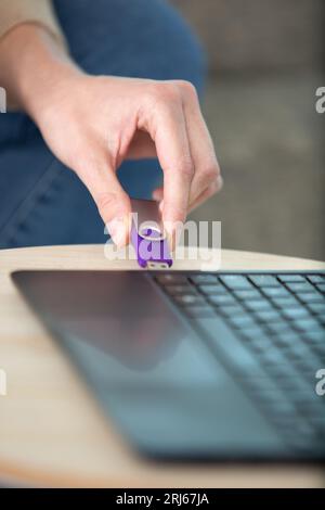 Stecken Sie den lilafarbenen usb-Stick von Hand in den Laptop Stockfoto