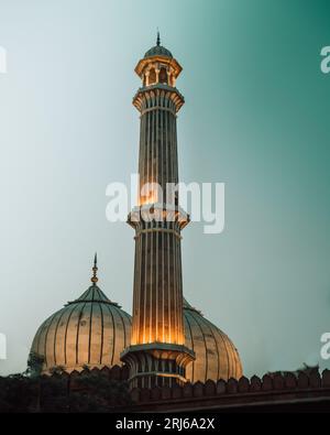 Die Delhi Cathedral Mosque in Indien mit komplizierten architektonischen Details Stockfoto