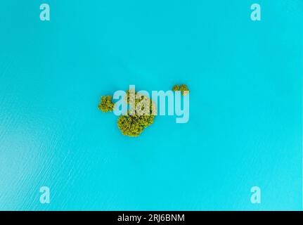 Ein Luftblick auf eine kleine grüne Insel in einem blauen See Stockfoto