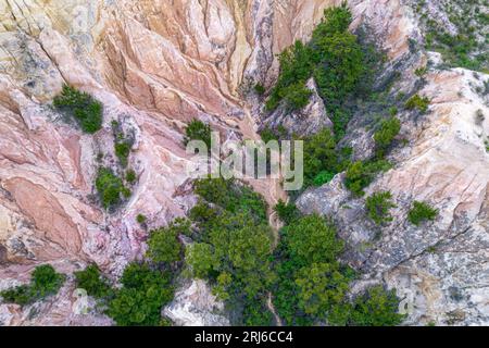 Eine Luftaufnahme einer Wüstenschlucht mit einer Vielzahl von kleinen grünen Bäumen, die zwischen den Felsen wachsen Stockfoto