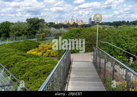 Botanischer Garten auf dem Dach. Bibliothek der Universität Warschau. Polnische moderne Architektur. Grüne Pflanzen im Sommer. Stockfoto