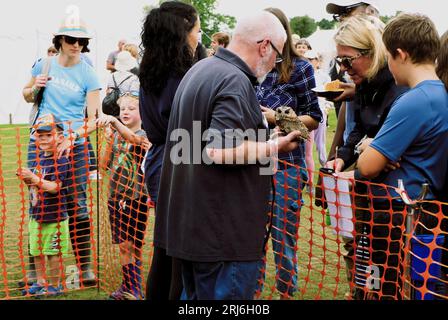 Majestätischer Eulen-Lauch bei der Ashbourne Show, Großbritannien Stockfoto