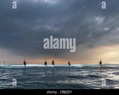 Fünf Fischer auf Stelzen in Ahangama, Sri Lanka Stockfoto