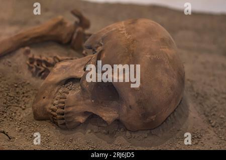 Ein Schädel und ein Brustkorb eines alten menschlichen Skeletts liegen inmitten des Sandes, eine Erinnerung an die lange Geschichte unserer Spezies Stockfoto