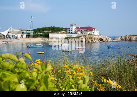 Farbenfrohe Boote schweben friedlich im ruhigen Wasser eines ruhigen Strandes in China, Dalian Stockfoto