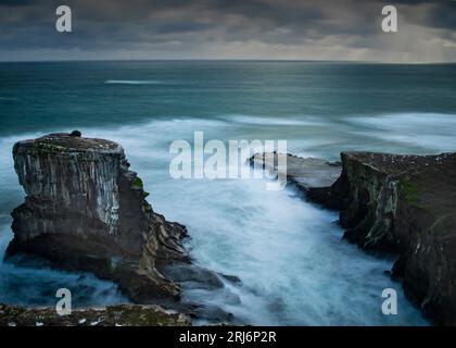 Felsen am Muriwai Beach, Auckland Neuseeland im Winter Stockfoto