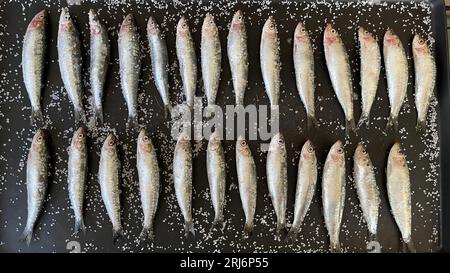 Ein Tablett mit frisch zubereiteten Fischfilets, bereit zum Kochen Stockfoto