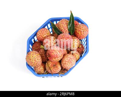 Ein Korb aus Korbgeflecht gefüllt mit einer bunten Auswahl an Reifen und unreifen Früchten, darunter Äpfel, Orangen und Trauben, auf einem Bett aus grünem Laub Stockfoto