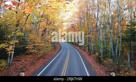 Eine Nahaufnahme einer Straße, die sich an einem sonnigen Tag durch einen üppigen Wald mit lebhaftem herbstlichem Laub schlängelt Stockfoto