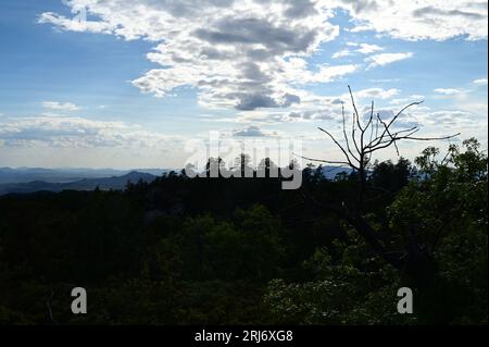 Eine ruhige Szene eines sanften blauen Himmels mit weißen, flauschigen Wolken, die über einen Wald mit grünen Bäumen ziehen Stockfoto