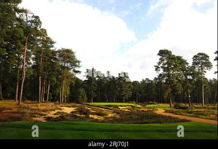 Blick vom Abschlag über Bunkern auf den 2nd Green, Hankley Common Golf Club, Farnham, Surrey, England. Stockfoto