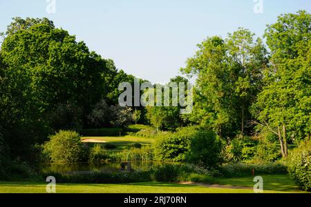 Blick über wilde Blumen zum Teich auf dem 18th Hole of West Course zum 12th Green, West Course, Sundridge Park Golf Club, Bromley, Kent, England. Stockfoto
