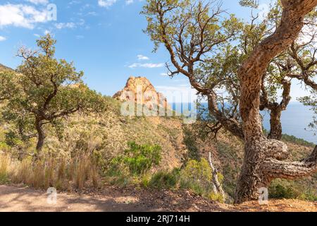 Prächtige rote Felsen und Gipfel in Cap Roux, Cote d'Azur, im Süden Frankreichs Stockfoto