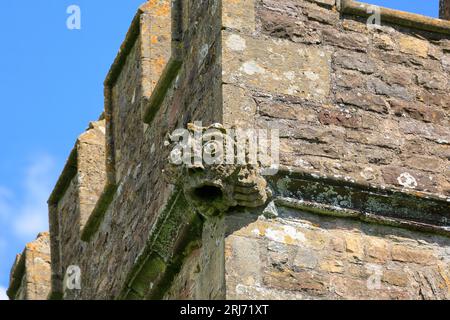 Turmdetail mit Wasserspeiern, Kirche St. Steven & St. Tathan, Caerwent Village, South Wales. August 2023. Pfarrkirche. Stockfoto