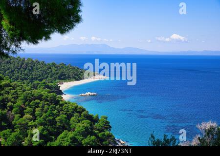 Skopelos Insel, Griechenland, schöner Strand mit Pinien und kristallklarem blauem Wasser Stockfoto