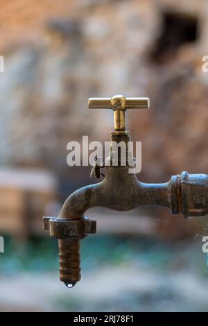 Ländliche Szene, Bienen trinken Wasser aus einem alten bronzenen Wasserhahn Stockfoto