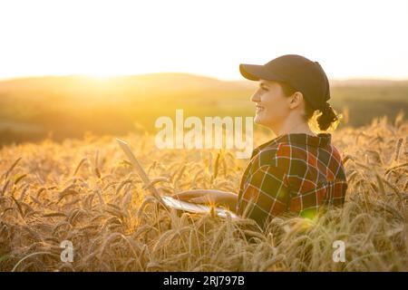 Eine Farmerin, die mit einem Laptop auf einem Weizenfeld arbeitet. Intelligente Landwirtschaft und digitale Landwirtschaft. Stockfoto