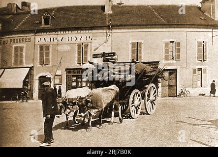 Frankreich 1939 - Bullock Transport in den Pyrenäen, La France en 1939 - Transport de bœufs dans les Pyrénées Stockfoto