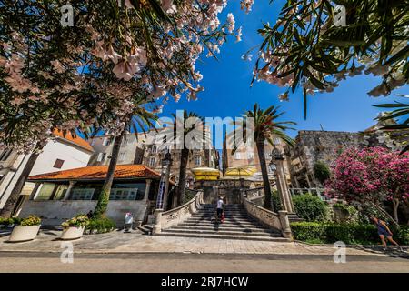 Korcula, Kroatien. August 2023. Sommer in der Stadt Korcula auf der Insel Korcula in Kroatien am 11. August 2023. Foto: Zvonimir Barisin/PIXSELL Credit: Pixsell/Alamy Live News Stockfoto