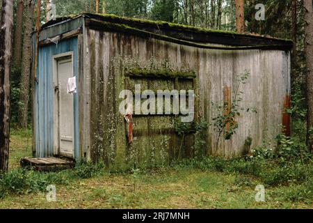 Alte Hütte im Wald, bedeckt mit Moos und Flechten Stockfoto