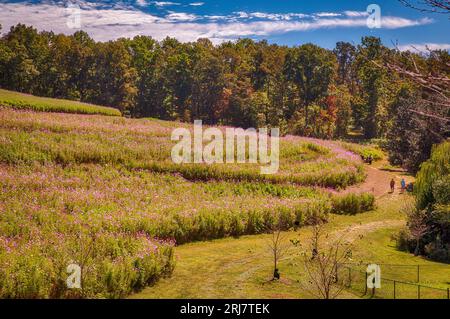 Gibbs Gardens Szene Stockfoto