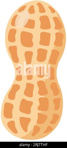 Lustige Cartoon-Erdnuss. Niedliche Nuss. Vektor-Lebensmittelillustration isoliert auf weißem Hintergrund. Stock Vektor