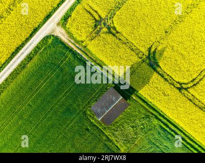 Drohnenaufnahme von Rapsfeldern in blühenden und grünen Wiesen in Franken Stockfoto