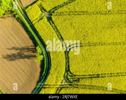 Drohnenaufnahme von Rapsfeldern in blühenden und grünen Wiesen in Franken Stockfoto