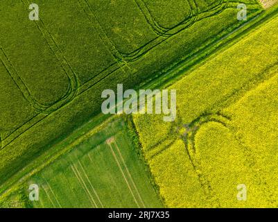 Drohnenaufnahme von Rapsfeldern in blühenden und grünen Wiesen in Franken Stockfoto