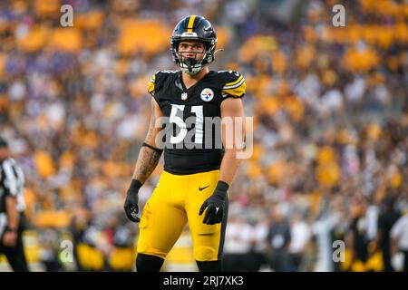 Pittsburgh, Pennsylvania, USA. August 2023. August 2023 Pittsburgh Steelers Linebacker Nick Herbig (51) betrachtet die Kamera während Pittsburgh Steelers vs Buffalo Bills in Pittsburgh, PA. Jake Mysliwczyk/AMG Media (Bild: © AMG/AMG über ZUMA Press Wire) NUR REDAKTIONELLE VERWENDUNG! Nicht für kommerzielle ZWECKE! Stockfoto