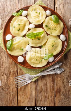 Ravioli Cappellacci-Knödel mit Mozzarella und Kräutern auf dem Teller auf dem Holztisch. Vertikale Draufsicht von oben Stockfoto