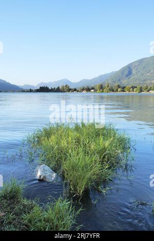 Neilson Regional Park in Mission, British Columbia, Kanada Stockfoto