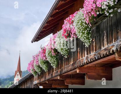 Schöne rosa, rot-weiße Blumenarrangements auf dem Balkon des traditionellen Alpenhauses mit Dorfkirche Glockenturm im Hintergrund Stockfoto