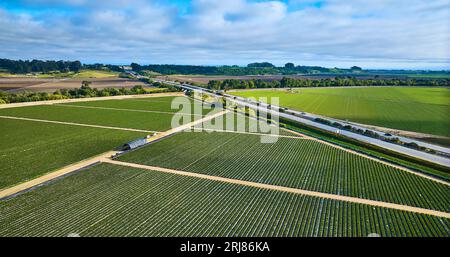 Dunkelgrüne Erdbeerfelder mit Straßen und Fernstraßen, die sich durch die Landschaft schneiden Stockfoto