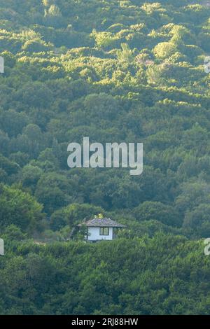 Kleines Haus auf einem Hügel, umgeben von Wald. Stockfoto